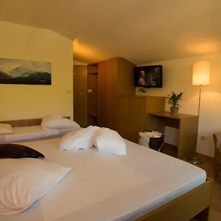 Hotel Erika